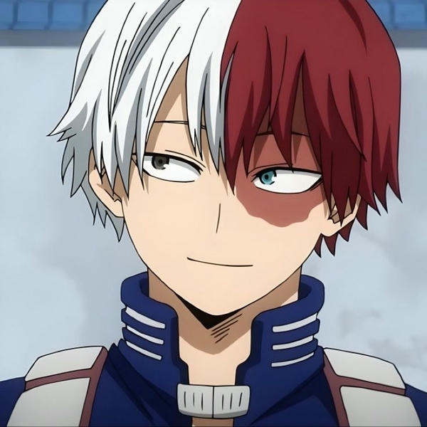 Shoto Todoroki (22)