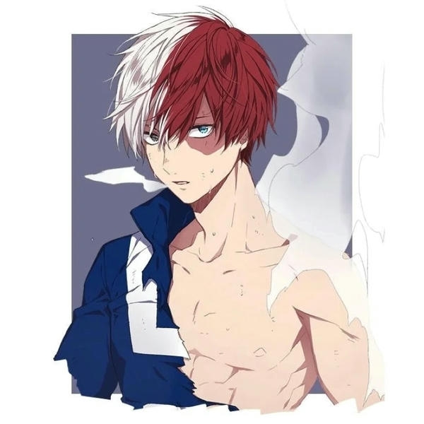 Shoto Todoroki (25)