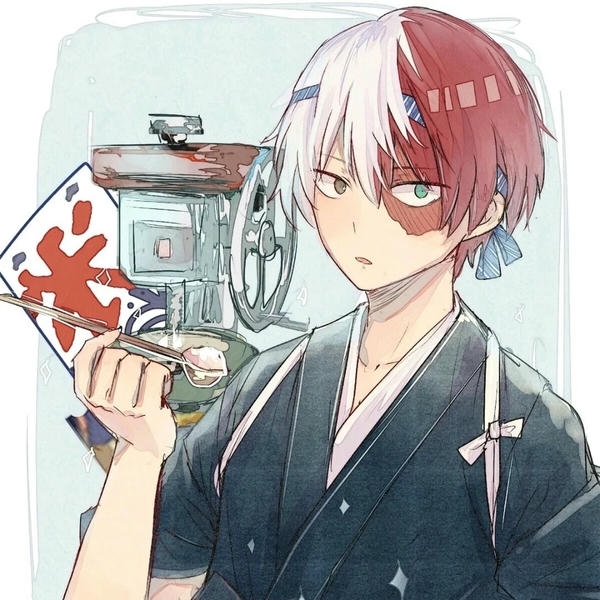 Shoto Todoroki (26)