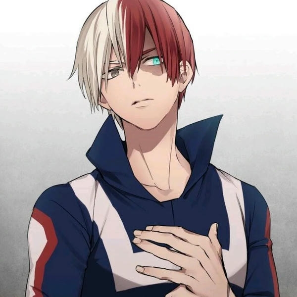 Shoto Todoroki (27)