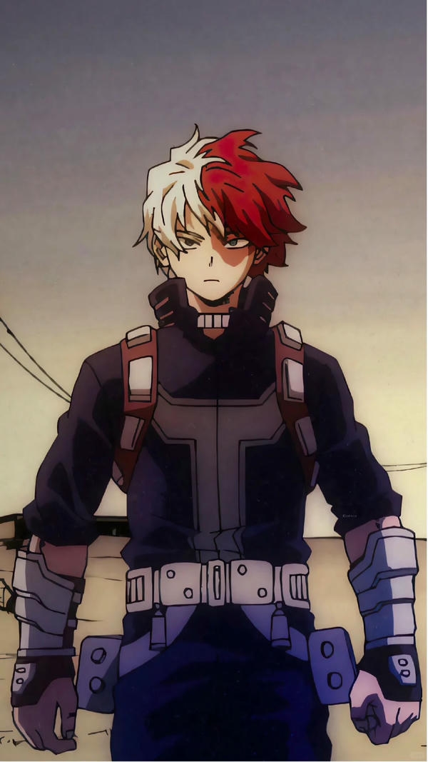 Shoto Todoroki (28)