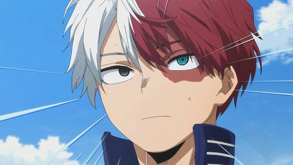 Shoto Todoroki (30)