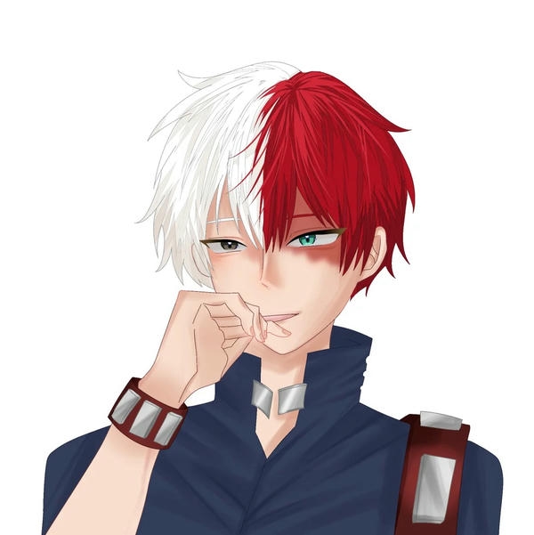 Shoto Todoroki (37)