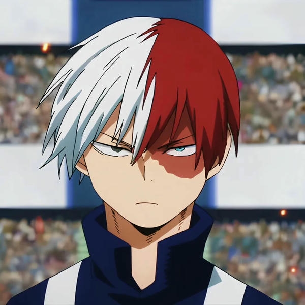 Shoto Todoroki (4)