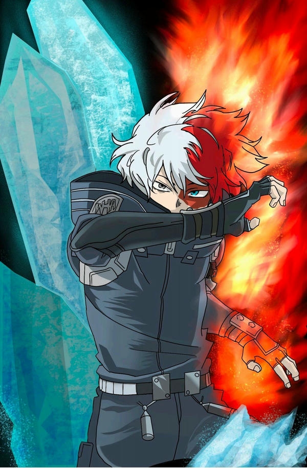 Shoto Todoroki (9)