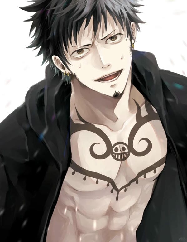 Trafalgar D. Water Law (19)