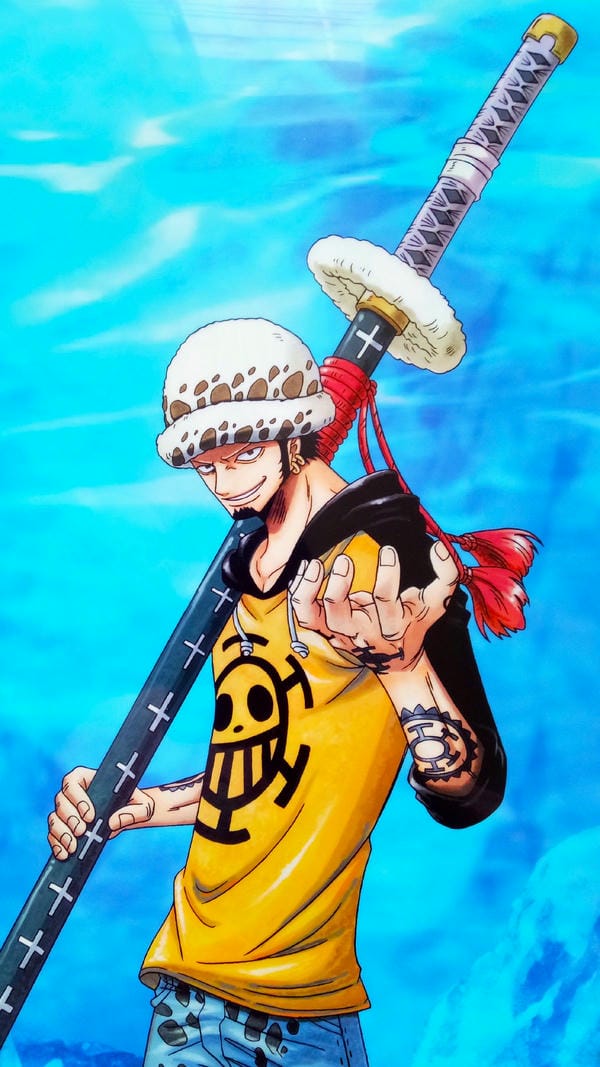 Trafalgar D. Water Law (2)