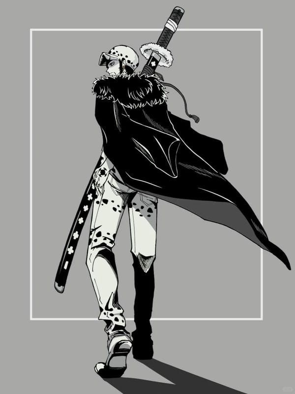 Trafalgar D. Water Law (20)