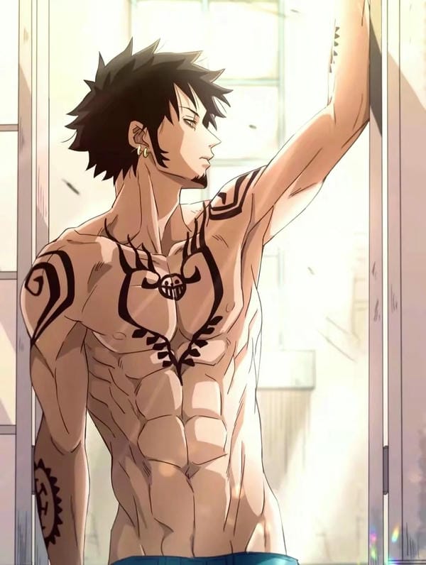 Trafalgar D. Water Law (26)