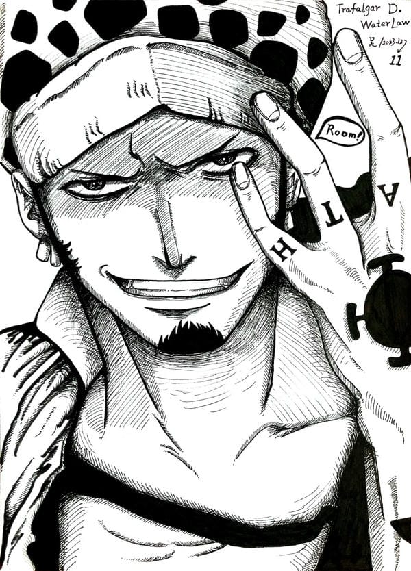 Trafalgar D. Water Law (27)