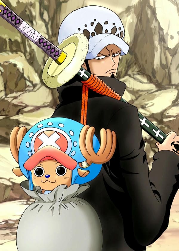 Trafalgar D. Water Law (32)