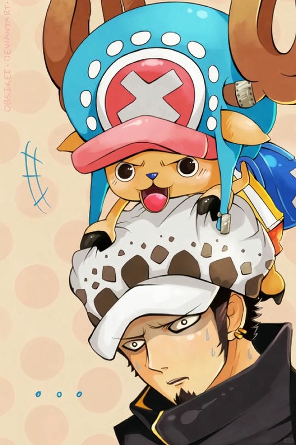 Trafalgar D. Water Law (33)