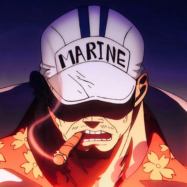akainu sakazuki (11)