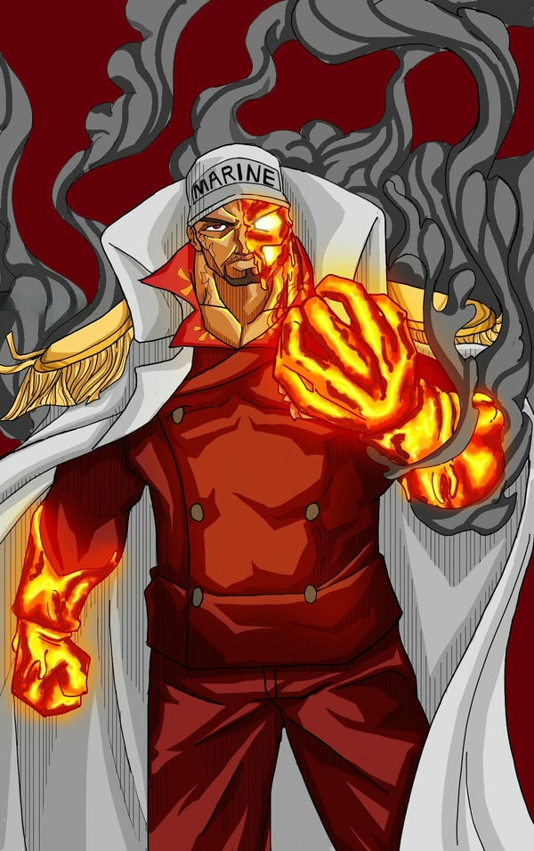 akainu sakazuki (19)