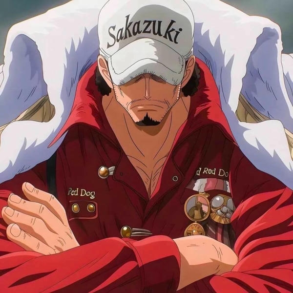 akainu sakazuki (23)