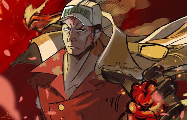 akainu sakazuki (27)