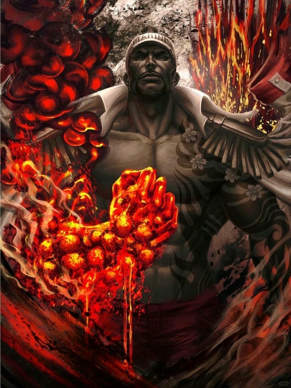 akainu sakazuki (28)