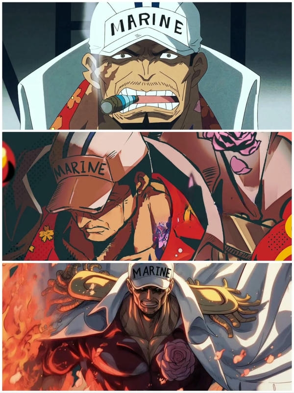 akainu sakazuki (9)