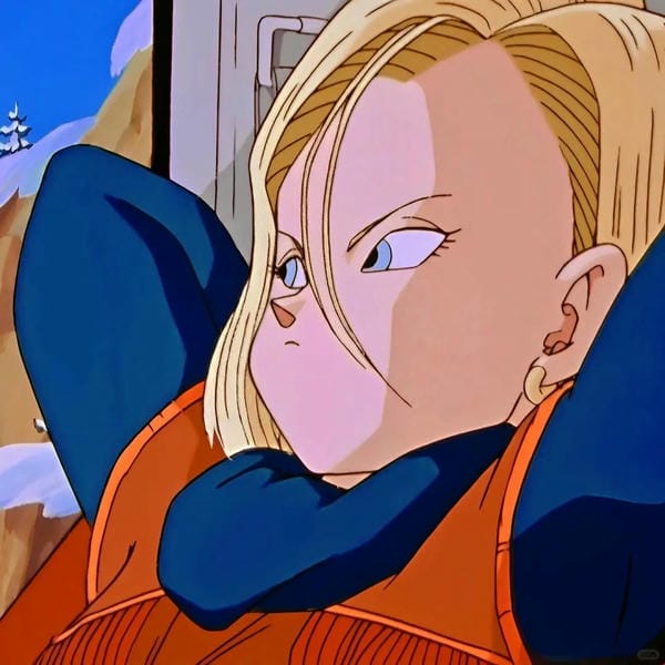 android-18 (10)