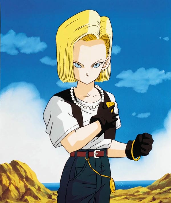 android-18 (31)