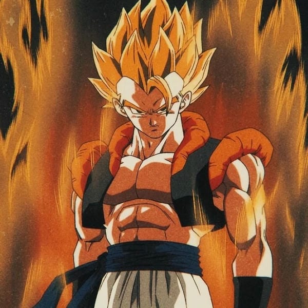 gogeta (16)