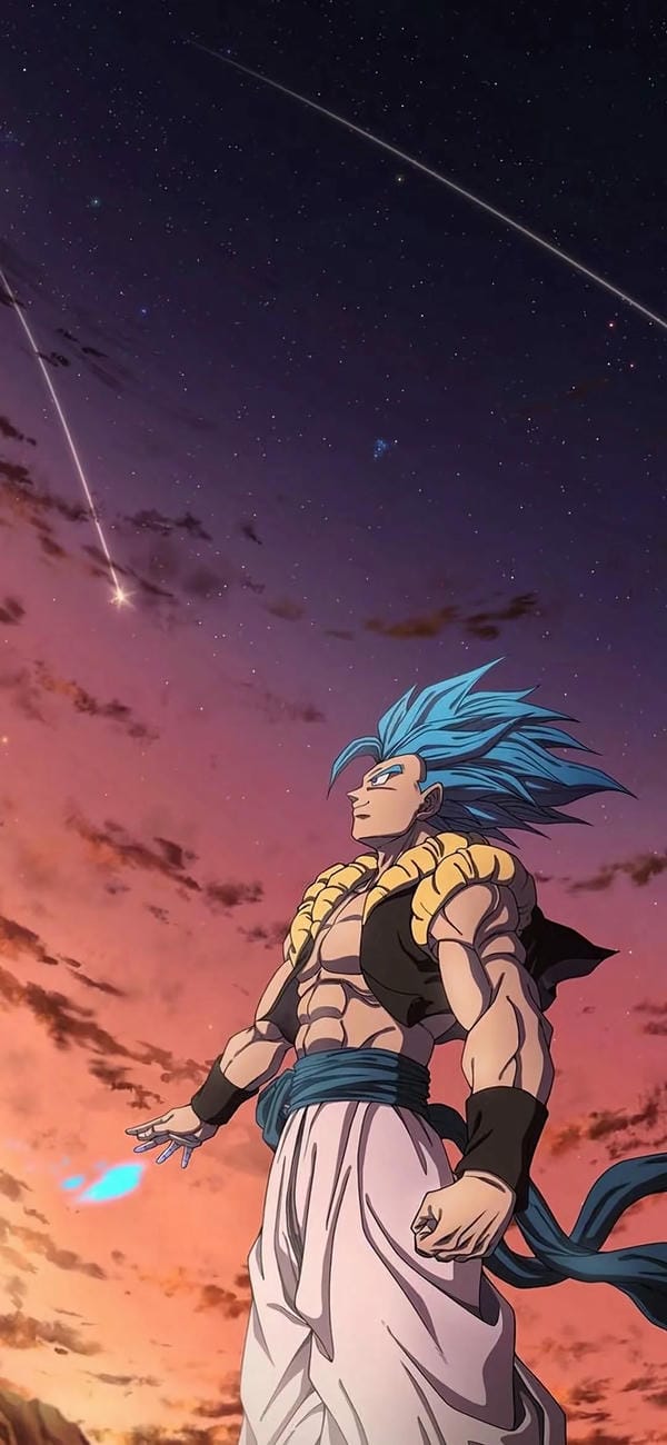 gogeta (21)