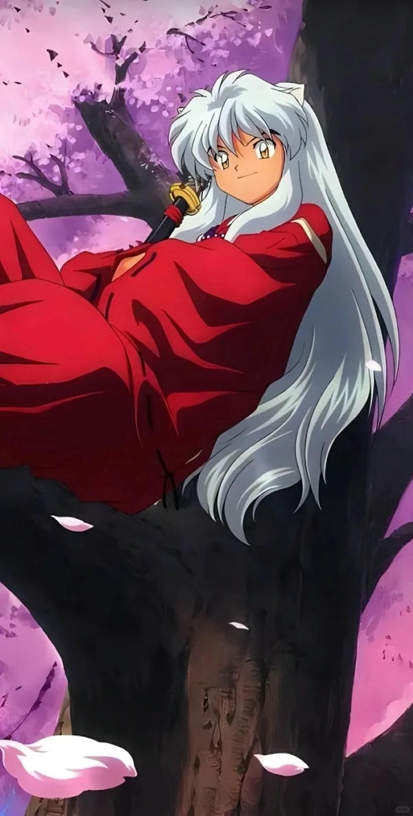 inuyasha (34)