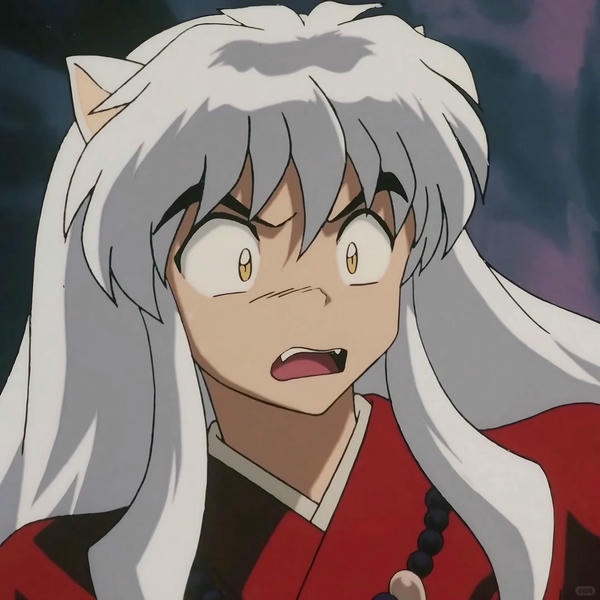 inuyasha (38)