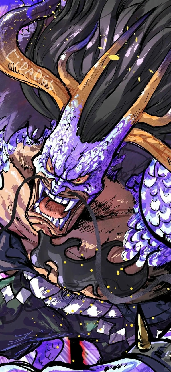 kaido (6)
