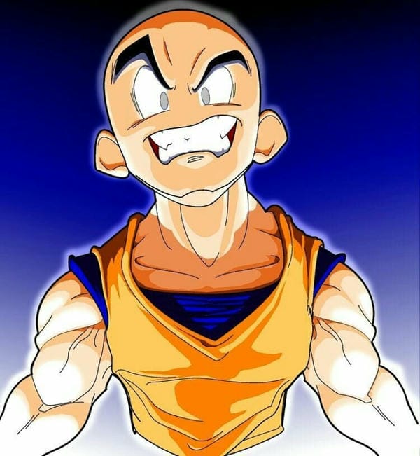 krillin (18)