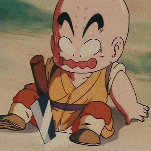 krillin (28)