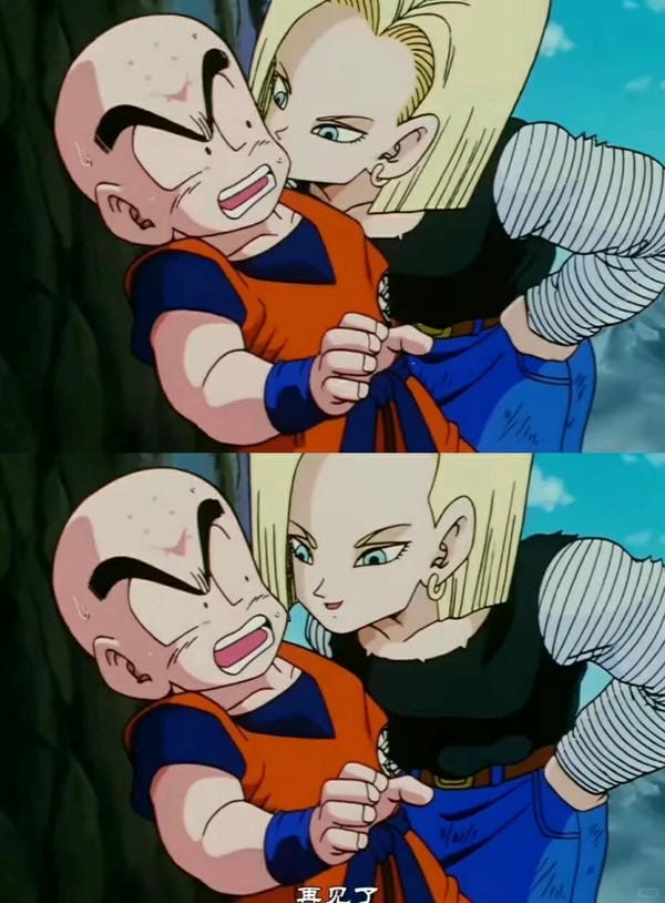 krillin (37)