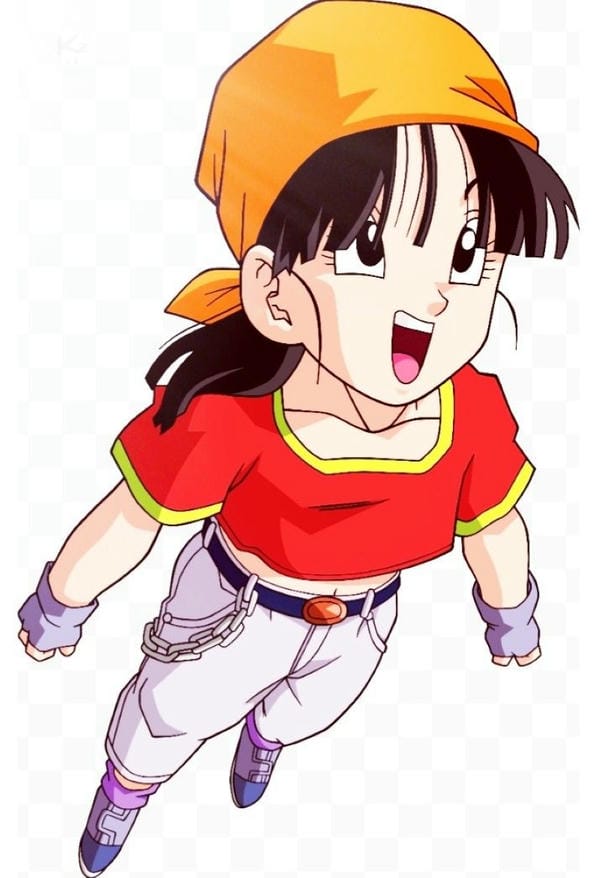 pan (15)