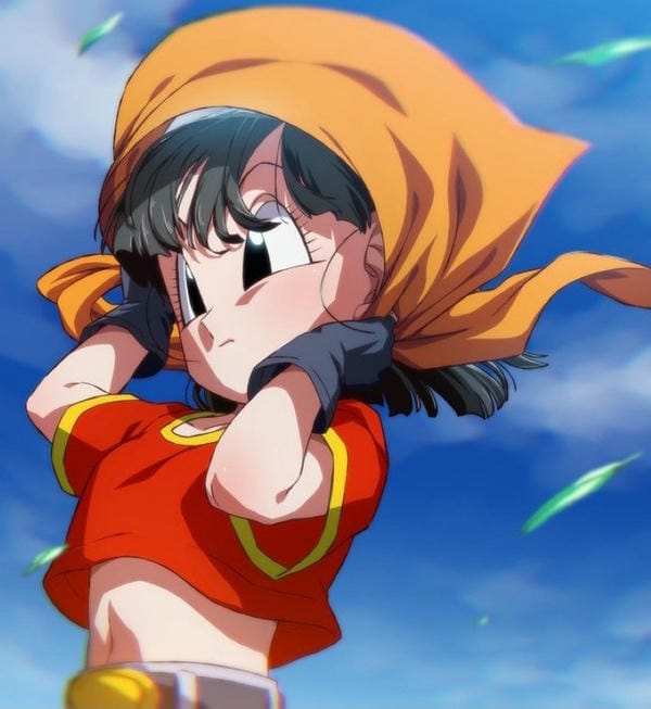 pan (18)