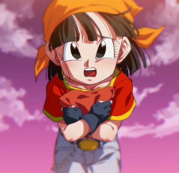 pan (22)
