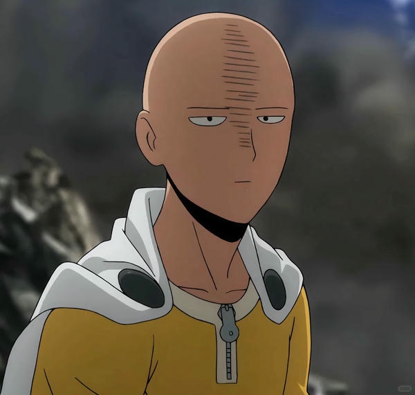 saitama (14)