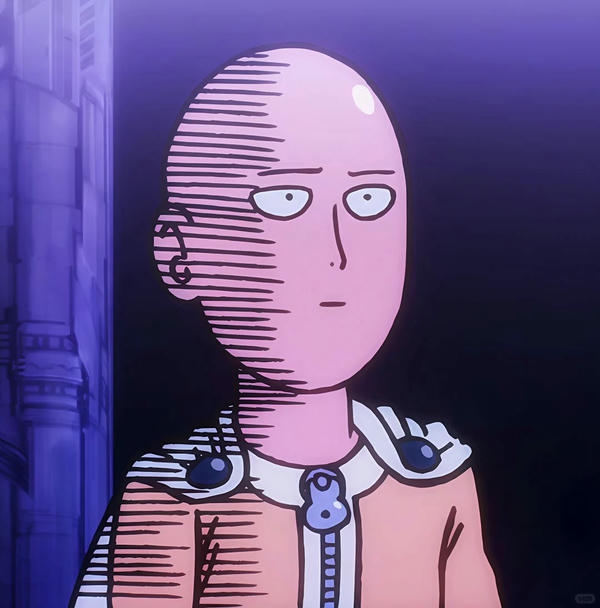 saitama (16)