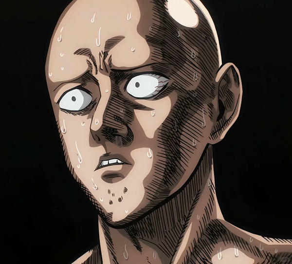 saitama (18)