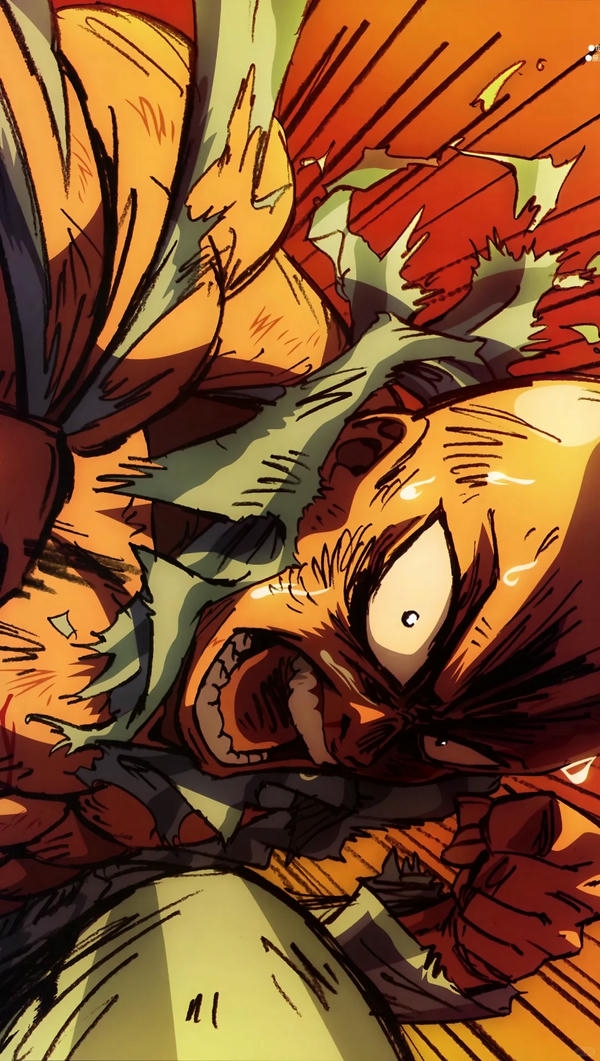 saitama (20)