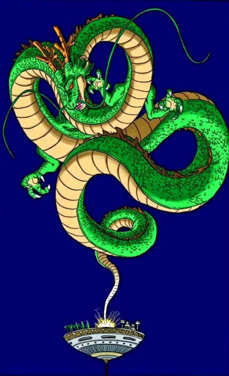 shenron (40)