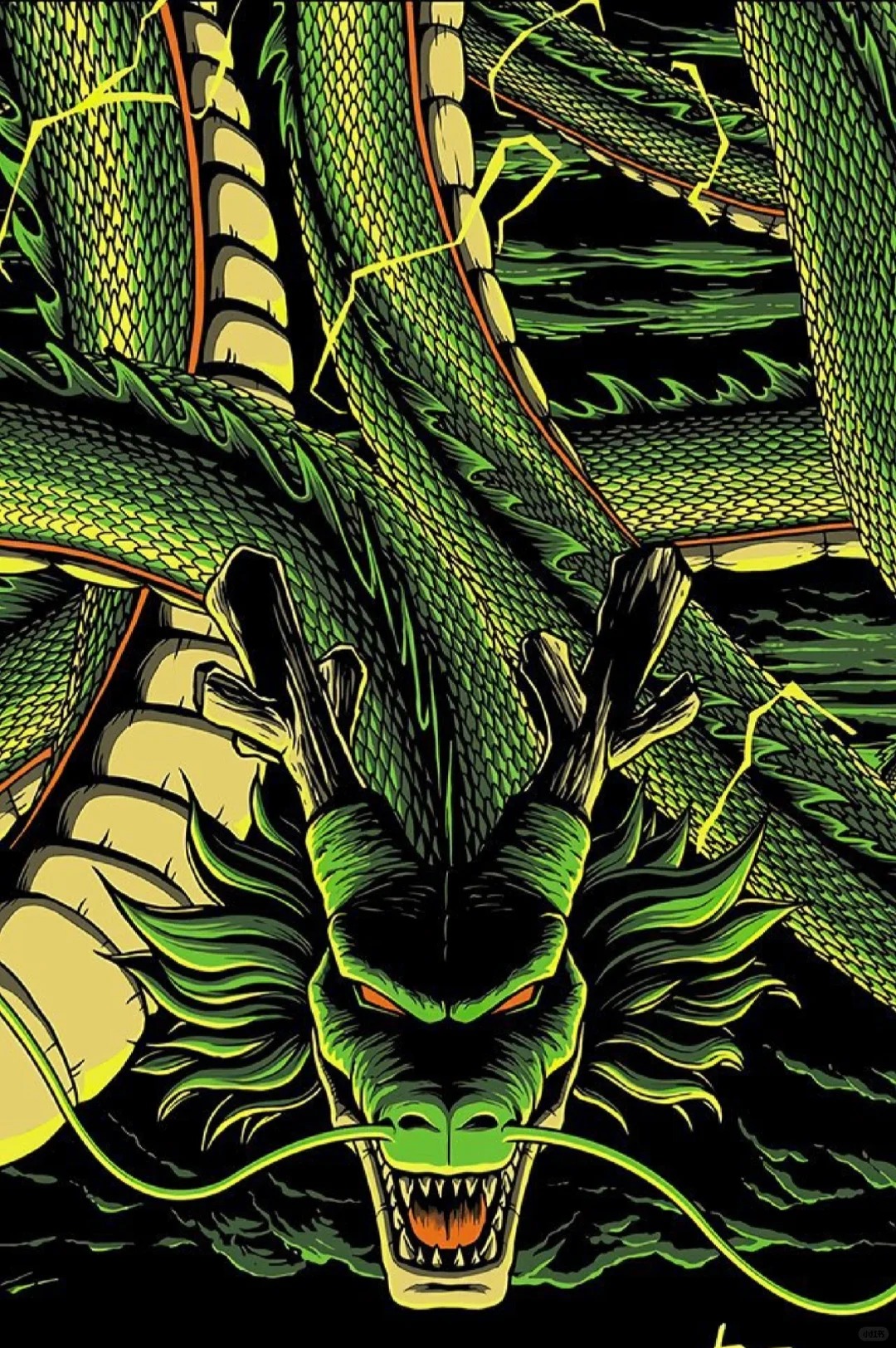 shenron (7)