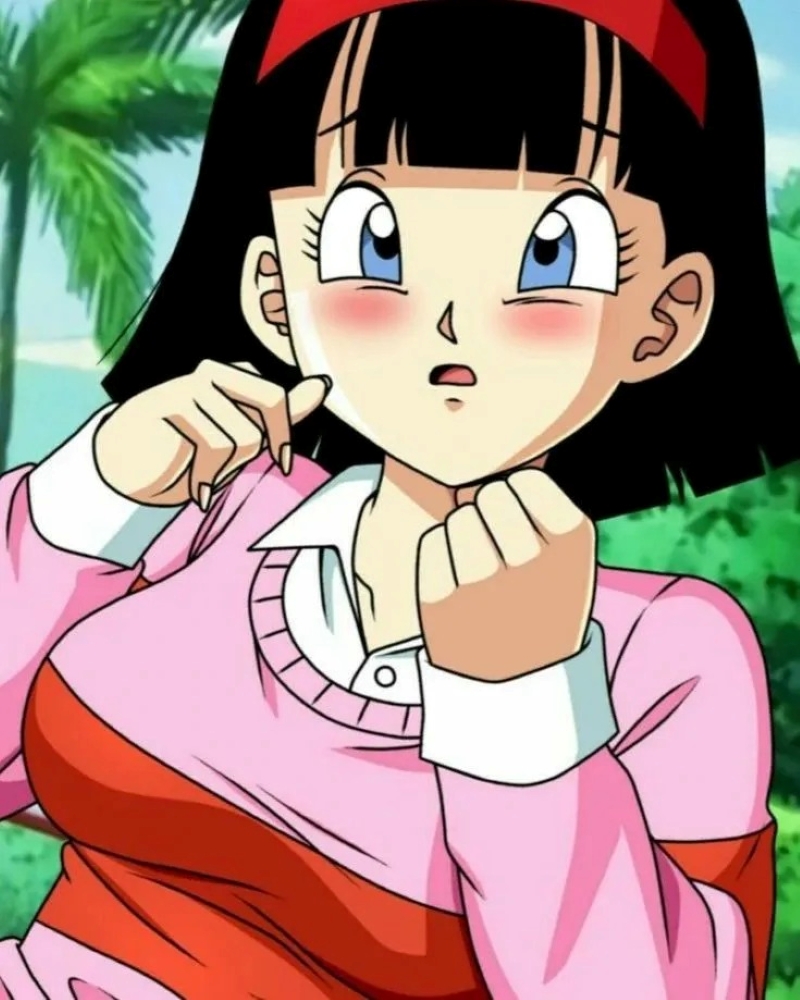 videl (18)