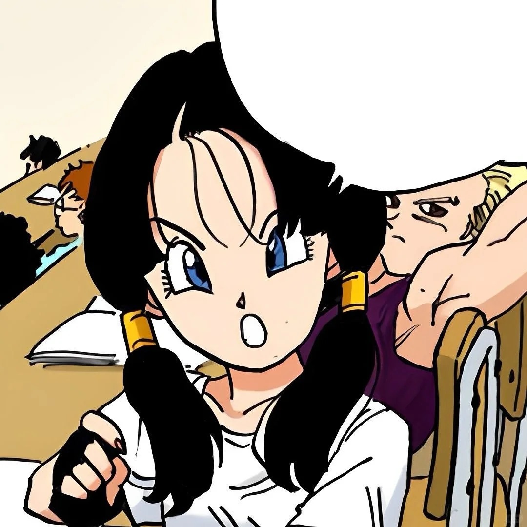 videl (34)