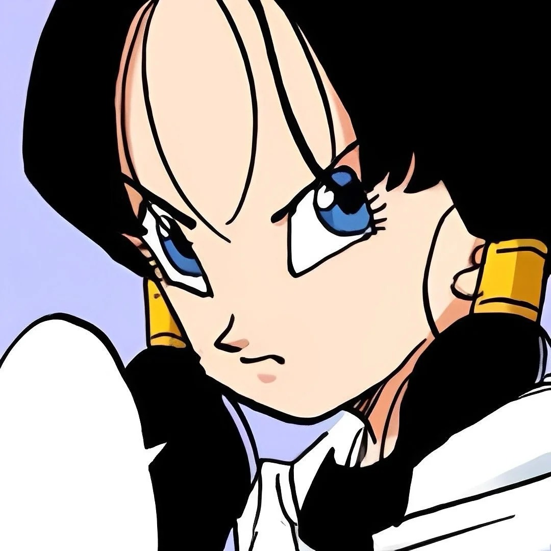 videl (35)