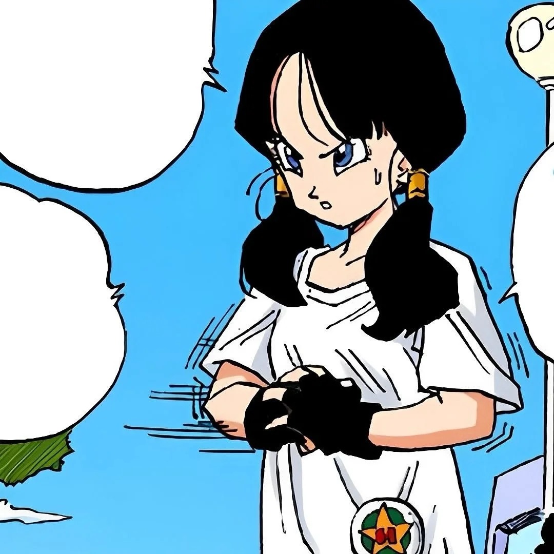 videl (39)