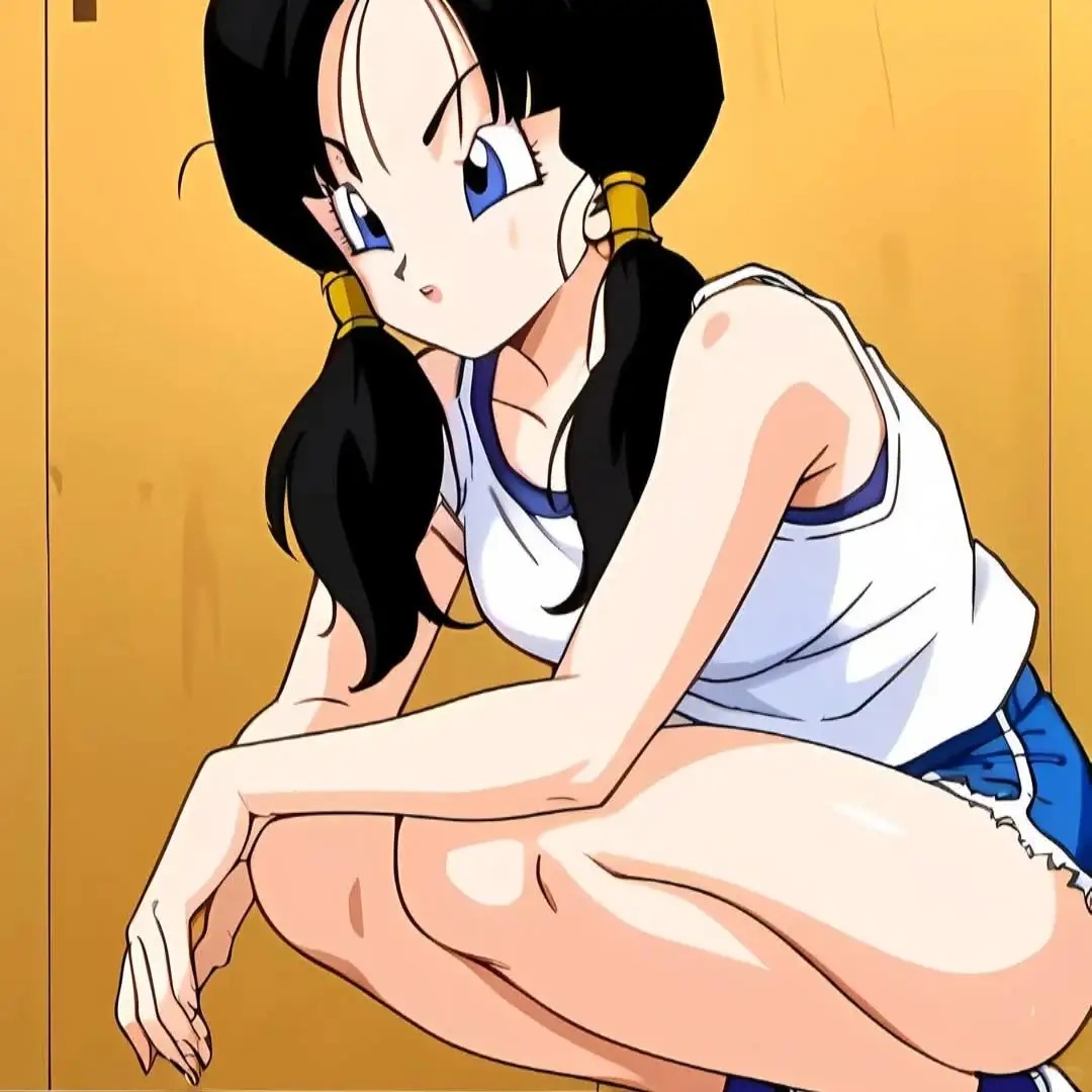videl (4)