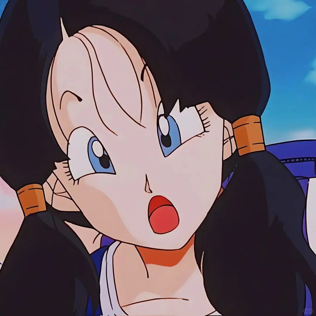 videl (40)