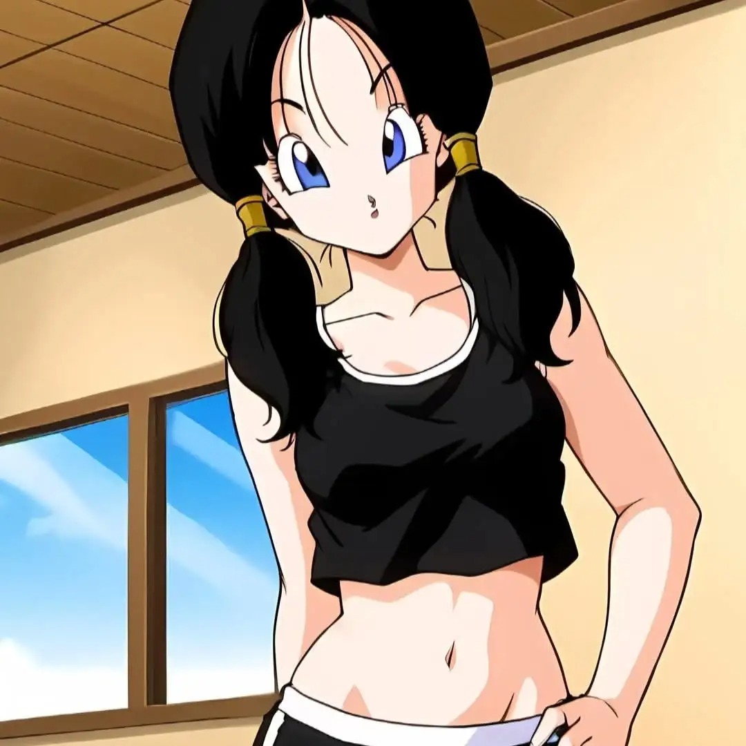videl (6)