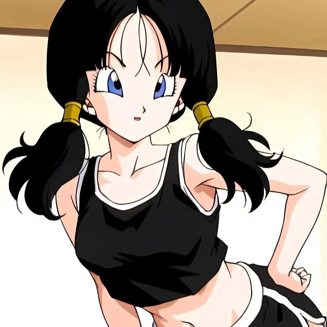 videl (8)