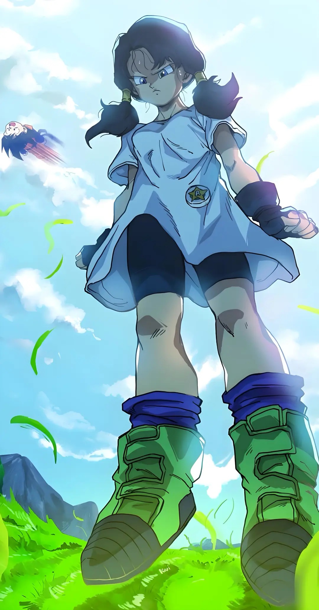 videl (9)